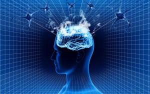 Study Links Reheated Cooking Oil to Increased Neurodegeneration Risk