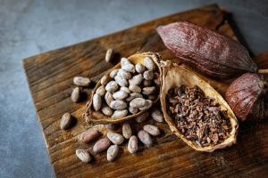 Protective Effects of Cocoa Flavanols on Vascular Health After Extended Sedentary Behavior