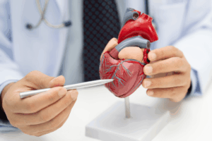 2025 Guidelines for the Evaluation and Management of Adults With Congenital Heart Disease