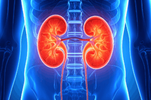 Don’t Ignore Your Kidneys: Early Action Can Slow CKD
