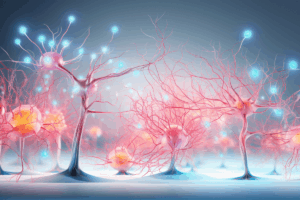 Mapping Brain Aging: Vulnerable Neurons and Promising Neuroprotection